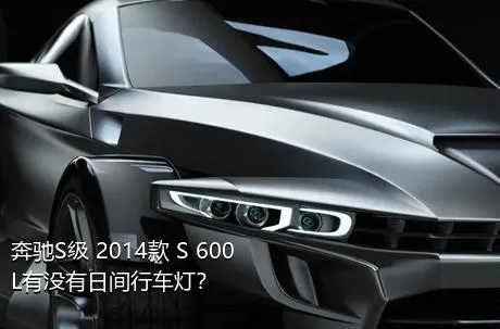 奔驰S级 2014款 S 600 L有没有日间行车灯？