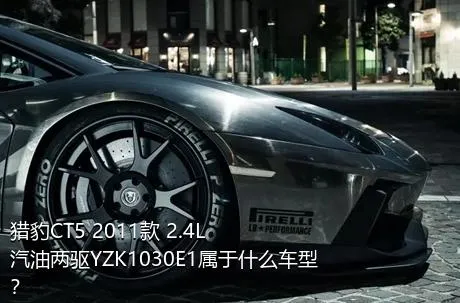 猎豹CT5 2011款 2.4L汽油两驱YZK1030E1属于什么车型？