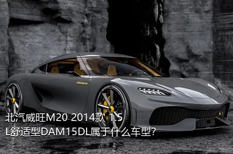 北汽威旺M20 2014款 1.5L舒适型DAM15DL属于什么车型？