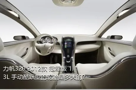 力帆320 2012款 冠军版 1.3L 手动酷跃型的轮胎是多大的？