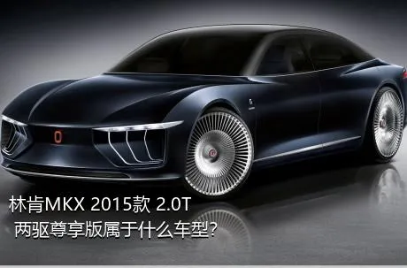 林肯MKX 2015款 2.0T 两驱尊享版属于什么车型？