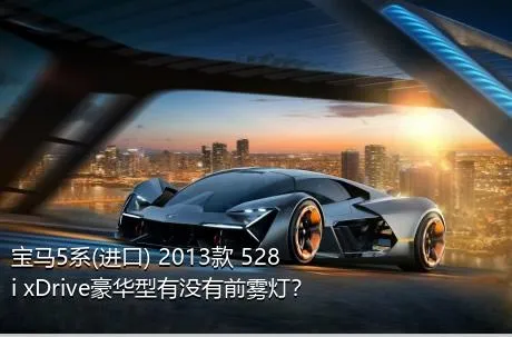 宝马5系(进口) 2013款 528i xDrive豪华型有没有前雾灯？