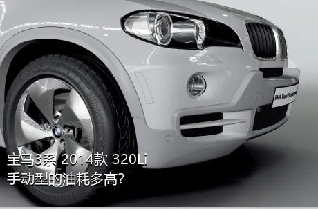 宝马3系 2014款 320Li 手动型的油耗多高？