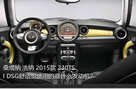 桑塔纳·浩纳 2015款 230TSI DSG舒适型使用的是什么发动机？