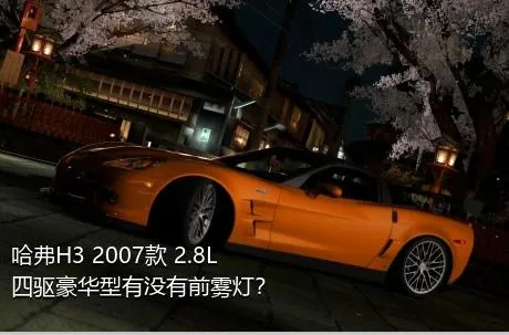 哈弗H3 2007款 2.8L 四驱豪华型有没有前雾灯？