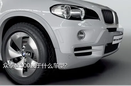 众泰M300属于什么车型？