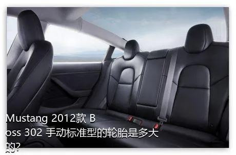 Mustang 2012款 Boss 302 手动标准型的轮胎是多大的？