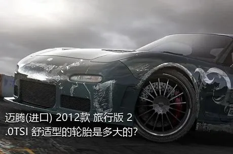 迈腾(进口) 2012款 旅行版 2.0TSI 舒适型的轮胎是多大的？