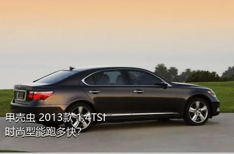 甲壳虫 2013款 1.4TSI 时尚型能跑多快？