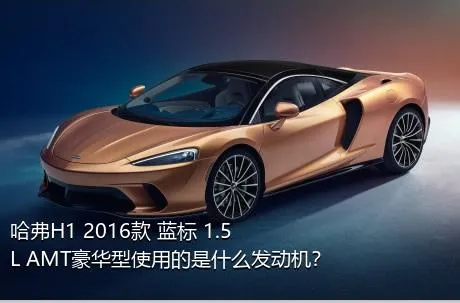 哈弗H1 2016款 蓝标 1.5L AMT豪华型使用的是什么发动机？