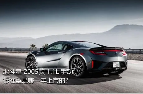 北斗星 2005款 1.1L 手动标准型是哪一年上市的？