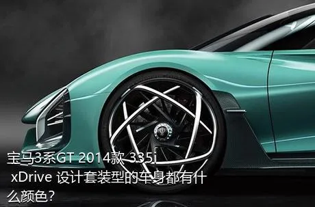 宝马3系GT 2014款 335i xDrive 设计套装型的车身都有什么颜色？