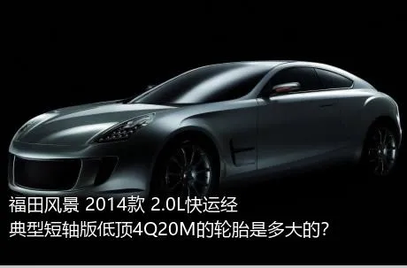 福田风景 2014款 2.0L快运经典型短轴版低顶4Q20M的轮胎是多大的？