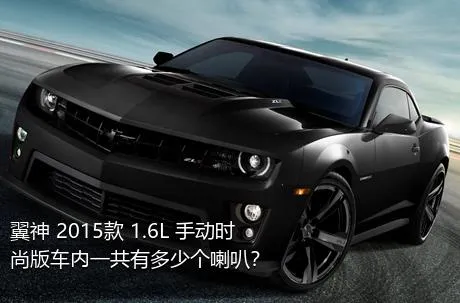 翼神 2015款 1.6L 手动时尚版车内一共有多少个喇叭？