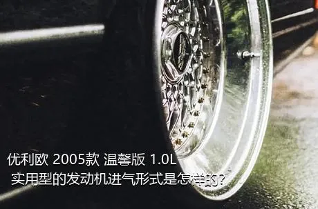 优利欧 2005款 温馨版 1.0L 实用型的发动机进气形式是怎样的？