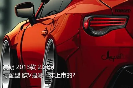 夏朗 2013款 2.0TSI 标配型 欧V是哪一年上市的？