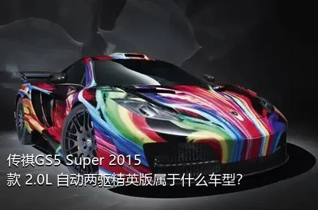 传祺GS5 Super 2015款 2.0L 自动两驱精英版属于什么车型？