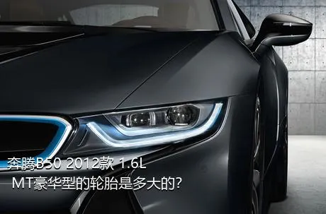 奔腾B50 2012款 1.6L MT豪华型的轮胎是多大的？