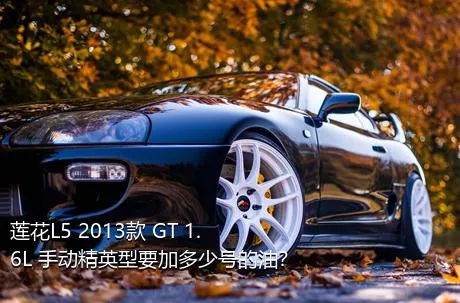 莲花L5 2013款 GT 1.6L 手动精英型要加多少号的油？