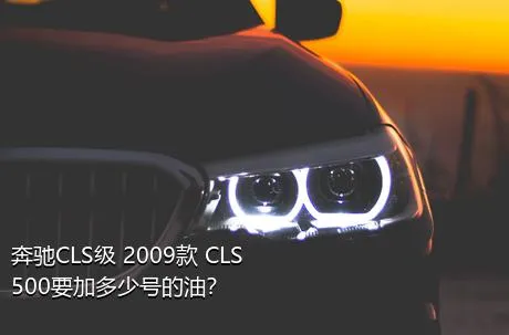 奔驰CLS级 2009款 CLS 500要加多少号的油？