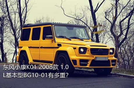 东风小康K01 2008款 1.0L基本型BG10-01有多重？