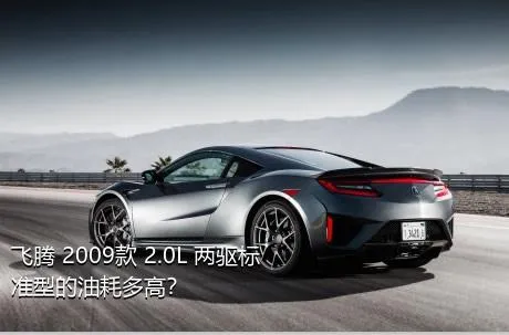 飞腾 2009款 2.0L 两驱标准型的油耗多高？