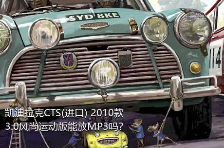 凯迪拉克CTS(进口) 2010款 3.0风尚运动版能放MP3吗？