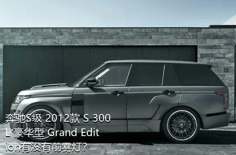 奔驰S级 2012款 S 300 L 豪华型 Grand Edition有没有前雾灯？