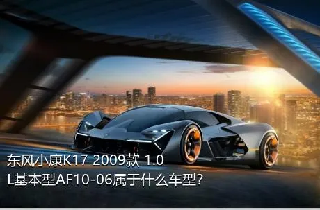 东风小康K17 2009款 1.0L基本型AF10-06属于什么车型？