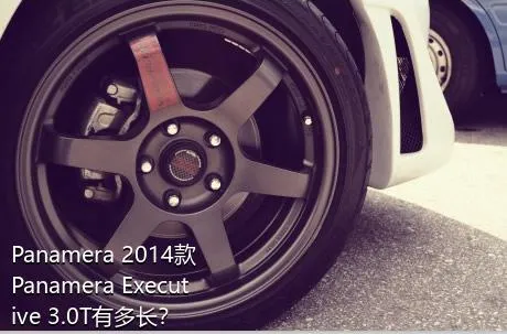 Panamera 2014款 Panamera Executive 3.0T有多长？