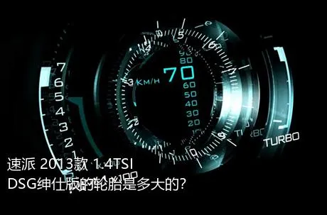 速派 2013款 1.4TSI DSG绅仕版的轮胎是多大的？