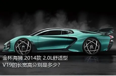 金杯海狮 2014款 2.0L舒适型V19的长宽高分别是多少？