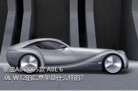 奥迪A8 2005款 A8L 6.0L W12的后悬架是什么样的？