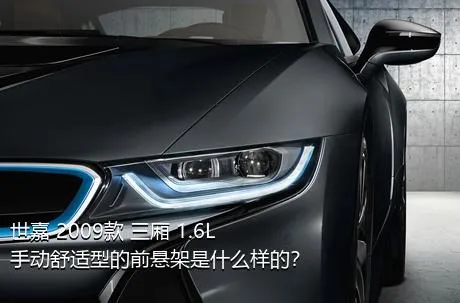 世嘉 2009款 三厢 1.6L 手动舒适型的前悬架是什么样的？