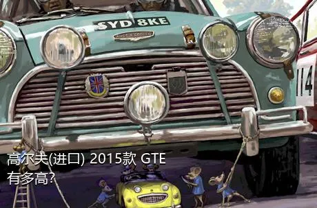 高尔夫(进口) 2015款 GTE有多高？