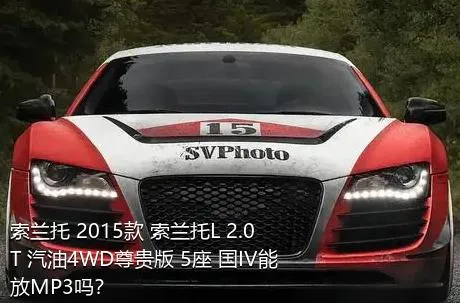 索兰托 2015款 索兰托L 2.0T 汽油4WD尊贵版 5座 国IV能放MP3吗？