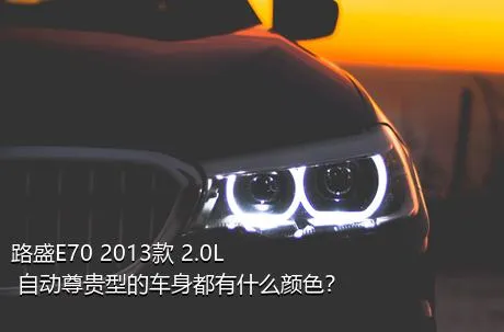 路盛E70 2013款 2.0L 自动尊贵型的车身都有什么颜色？