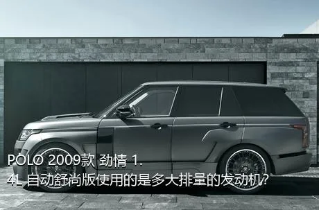 POLO 2009款 劲情 1.4L 自动舒尚版使用的是多大排量的发动机？