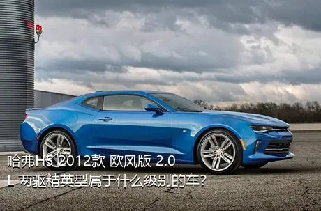 哈弗H5 2012款 欧风版 2.0L 两驱精英型属于什么级别的车？