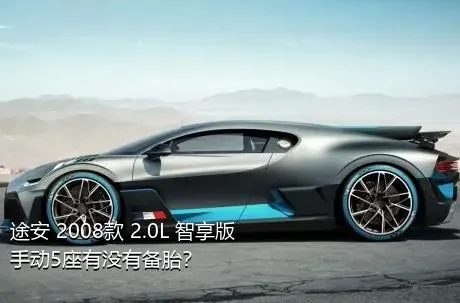 途安 2008款 2.0L 智享版手动5座有没有备胎？