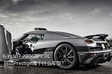 标致307 2006款 2.0L 自动Prestige属于什么车型？