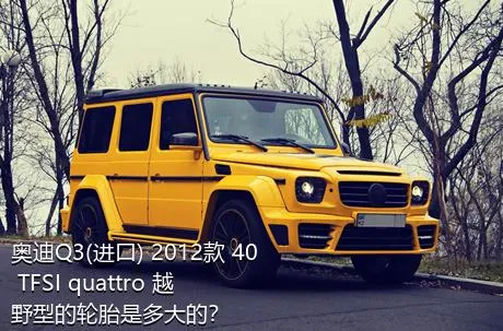 奥迪Q3(进口) 2012款 40 TFSI quattro 越野型的轮胎是多大的？