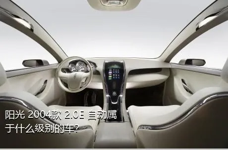 阳光 2004款 2.0E 自动属于什么级别的车？