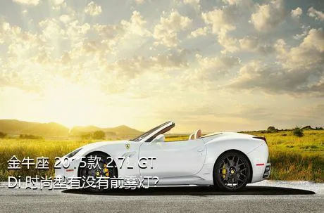 金牛座 2015款 2.7L GTDi 时尚型有没有前雾灯？