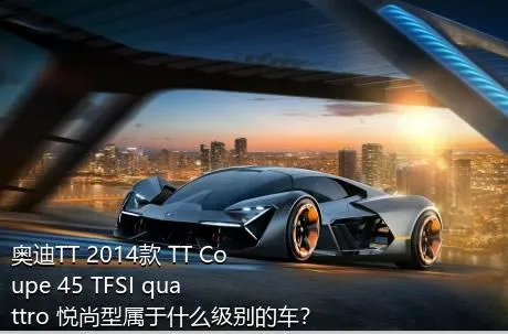 奥迪TT 2014款 TT Coupe 45 TFSI quattro 悦尚型属于什么级别的车？