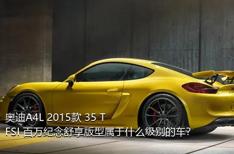 奥迪A4L 2015款 35 TFSI 百万纪念舒享版型属于什么级别的车？