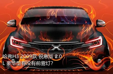 哈弗H3 2009款 锐意版 2.0L 豪华型有没有前雾灯？