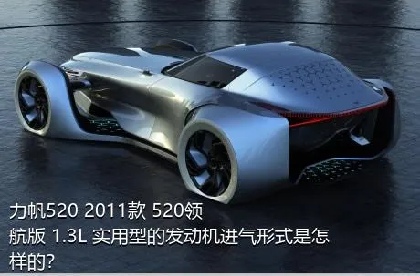 力帆520 2011款 520领航版 1.3L 实用型的发动机进气形式是怎样的？