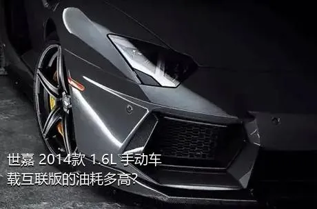 世嘉 2014款 1.6L 手动车载互联版的油耗多高？