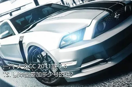 一汽-大众CC 2011款 1.8TSI 豪华型要加多少号的油？